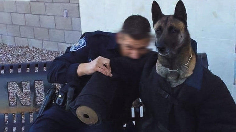 Police K9 handler biting an agitator suit jacket with his K9 in it instead of a person.