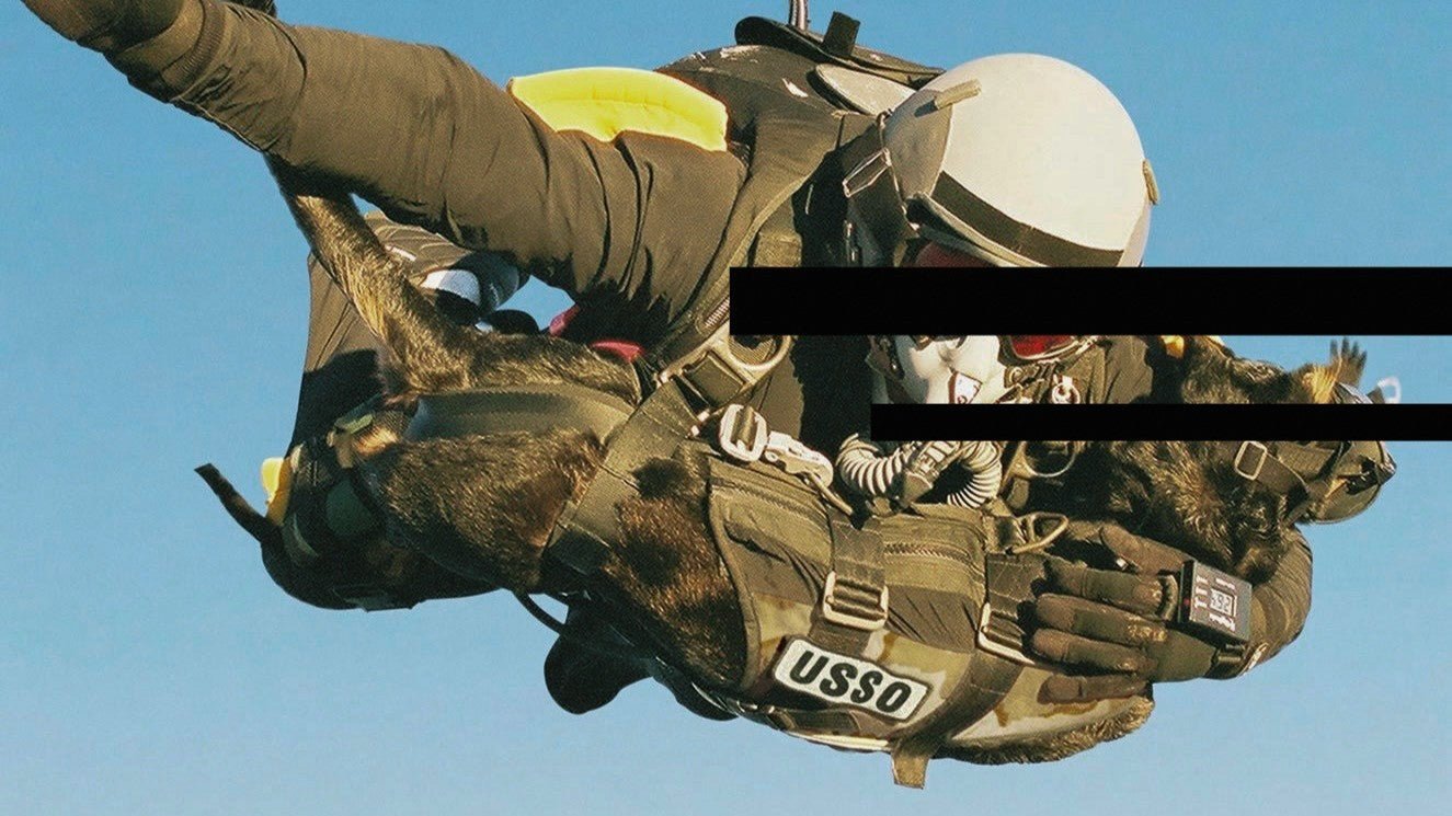 K9 in tactical gear dropping for a plane.