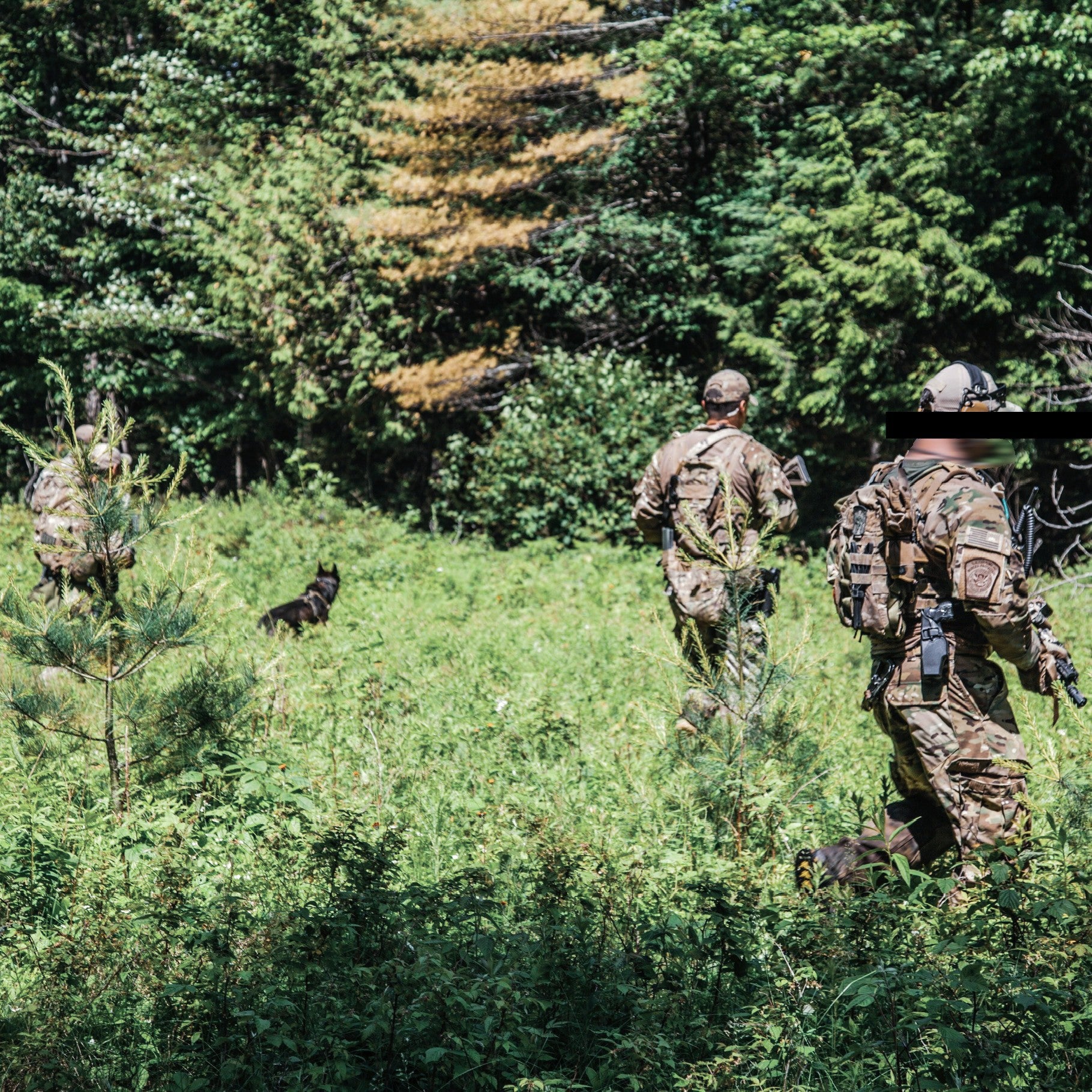 Three BORTAC officers in camouflage patrolling through a forest with a working dog.