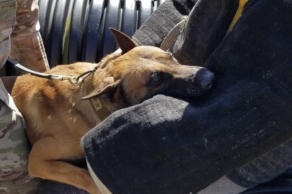 Load video: A demonstration of the Sirius K9 Breaker Bar being used to "out" a working K9 that is actively biting an agitator. It shows the tool is quick and effective.