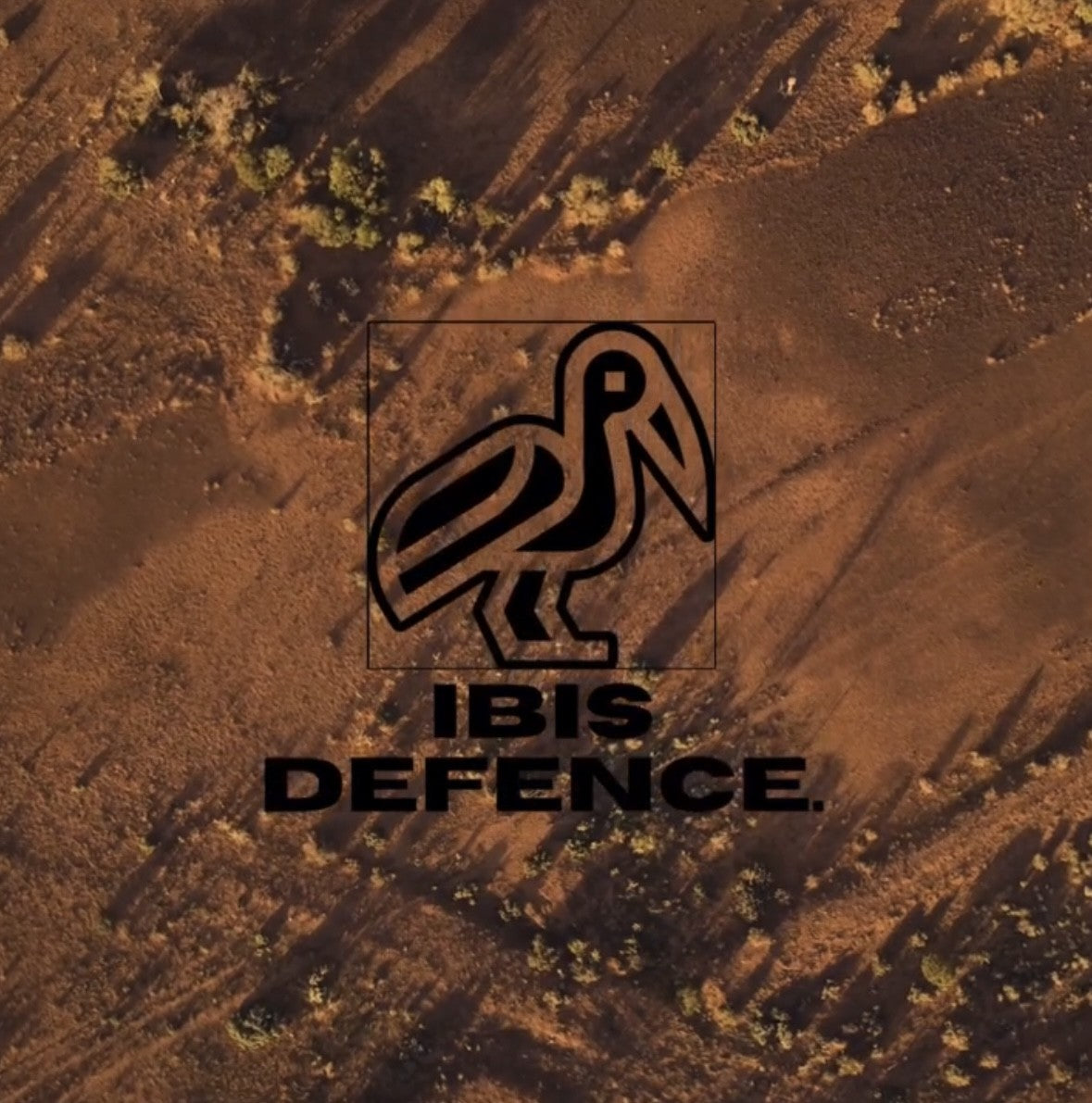 Ibis Defence logo on a desert landscape