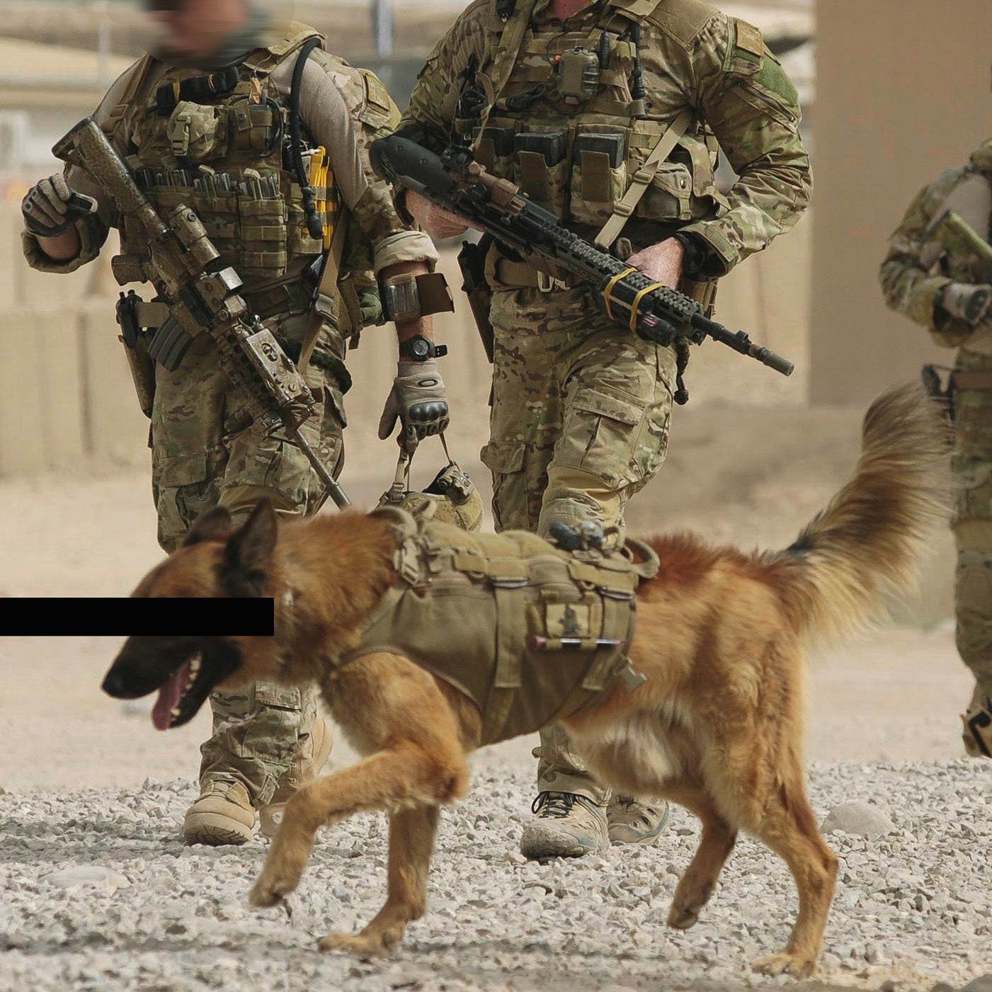 Two Australian SASR soldiers in camouflage uniforms with CAD Kuga while on a deployment.