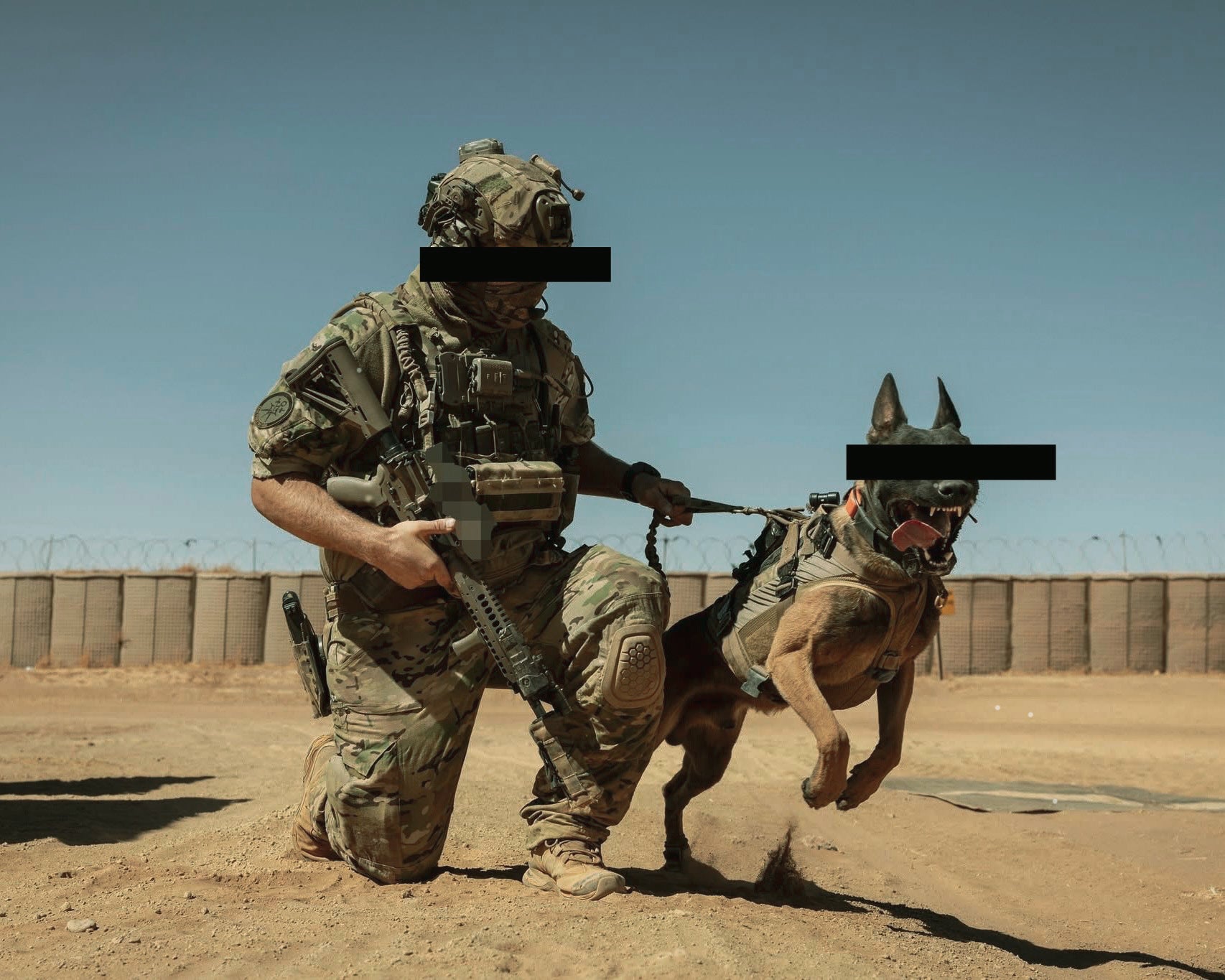Swedish SF Soldier in camouflage uniform with a working dog on a deployment.