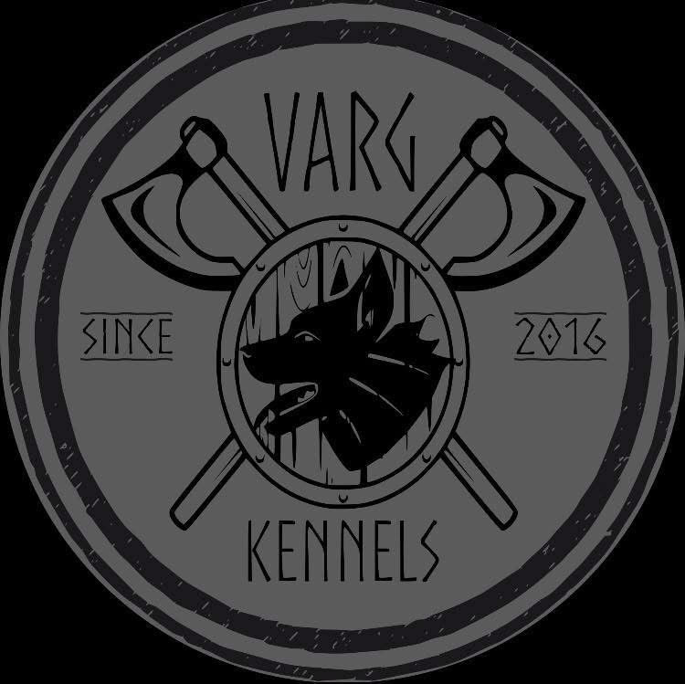 Logo of Varg Kennels with crossed axes and a wolf silhouette on a dark background