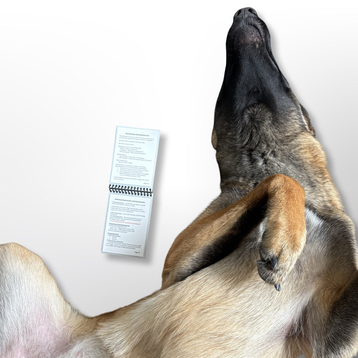 Malinois lying on its back beside the Ready Warrior K9 Quick Reference Guide, open to the unconscious K9 and hydration pages